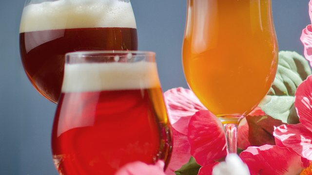 CraftBeer.com article