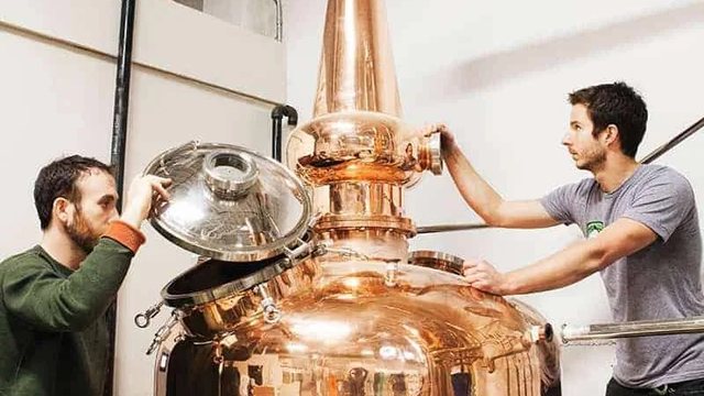 Edible SF article