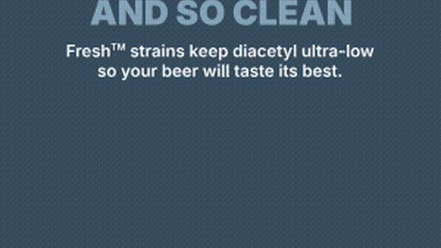 All About Beer article