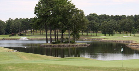 temp_frontFeature_golf(1)