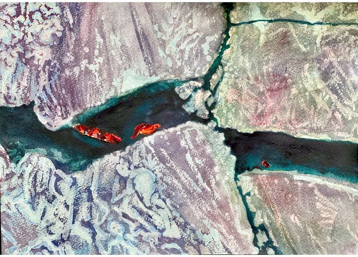 Fagradalsfjall Volcano XXVI, Fissure