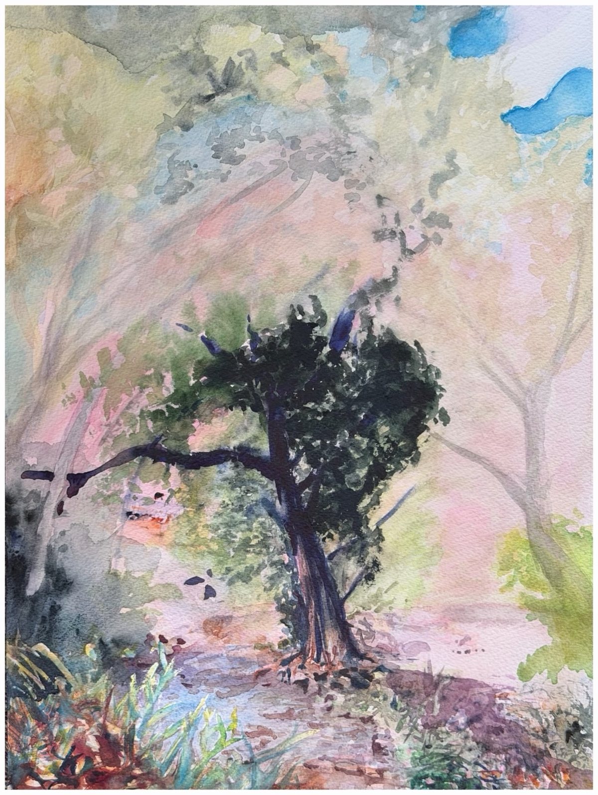 Tree of Life