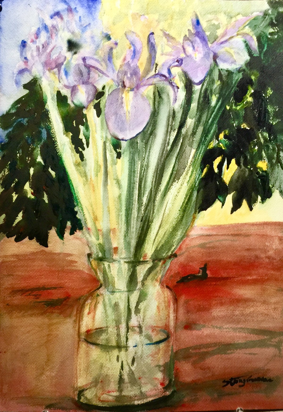 Irises