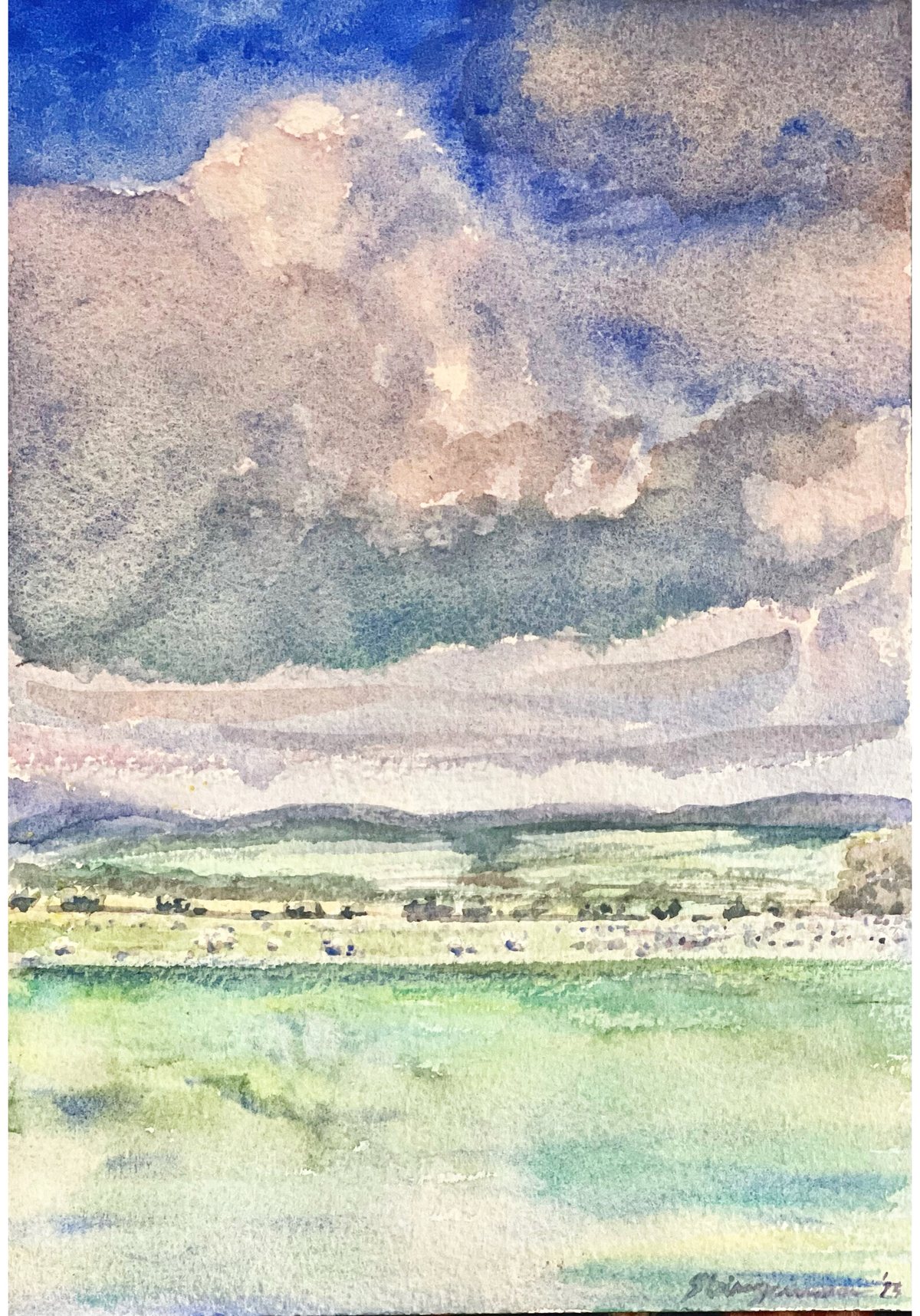Pastures in Sunshine Between Showers